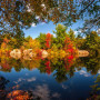 Boston’s fall foliage