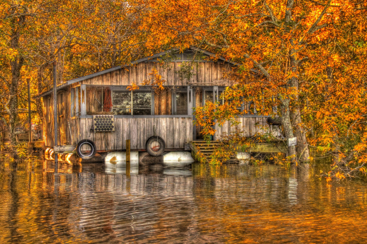 Colores de otoño en Luisiana